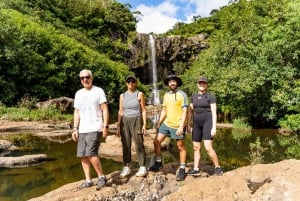 Mauricio: Ruta de senderismo por las cascadas emblemáticas + picnic mauriciano