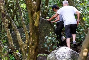 Mauricio: Ruta de senderismo por las cascadas emblemáticas + picnic mauriciano