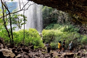Mauricio: Ruta de senderismo por las cascadas emblemáticas + picnic mauriciano