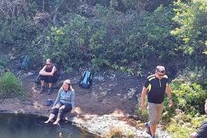 Mauritius Tamarind Falls: vandretur og frokost + transport