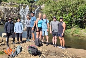 Mauritius Tamarind Falls: vandretur og frokost + transport