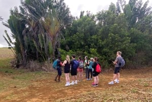 Mauritius Tamarind Falls: vandretur og frokost + transport