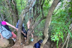 Mauritius Tamarind Falls: vandretur og frokost + transport