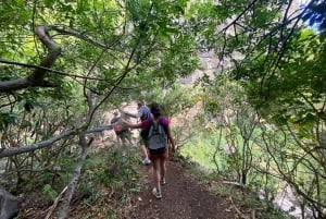 Mauritius Tamarind Falls: vandretur og frokost + transport