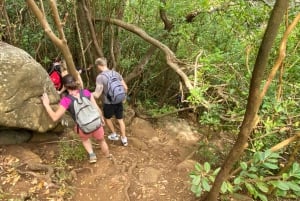 Mauritius Tamarind Falls: vandretur og frokost + transport