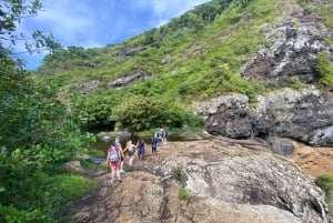 Mauritius Tamarind Falls: vandretur og frokost + transport