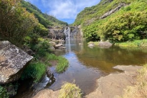 Mauritius Tamarind Falls: vandretur og frokost + transport