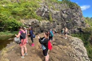 Mauritius Tamarind Falls: vandretur og frokost + transport