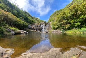 Mauritius Tamarind Falls: vandretur og frokost + transport