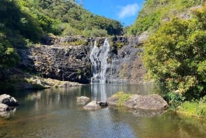 Mauritius Tamarind Falls: vandretur og frokost + transport