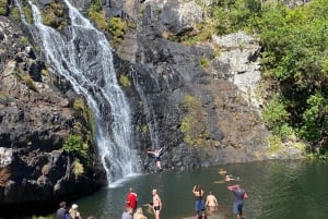 Mauritius Tamarind Falls: vandretur og frokost + transport