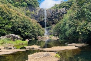 Mauritius: Tamarind Falls - Einzigartiges Naturerlebnis