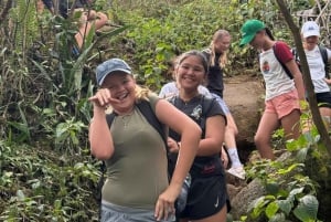 Mauritius: Tamarind Falls - Einzigartiges Naturerlebnis