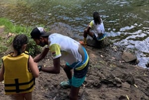 Mauritius: Tamarind Falls - Einzigartiges Naturerlebnis