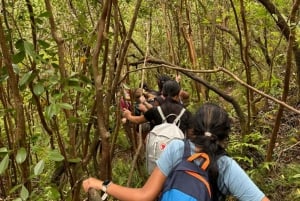Mauritius: Tamarind Falls - Einzigartiges Naturerlebnis
