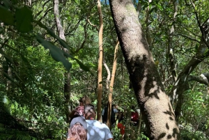 Mauritius: Tamarind Falls- Unique Nature Experience