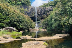 Mauritius: Tamarind Falls- Unique Nature Experience