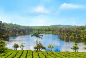 Mauritius: Tea, Rum and Vanilla Route with Lunch and Pickup