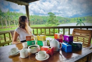 Mauritius: Tea, Rum and Vanilla Route with Lunch and Pickup
