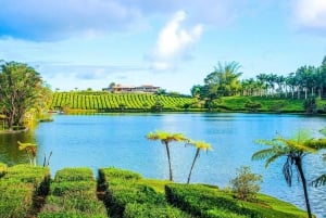 Mauritius: Tea, Rum and Vanilla Route with Lunch and Pickup