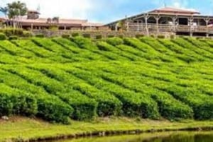Mauritius: Tea, Rum and Vanilla Route with Lunch and Pickup