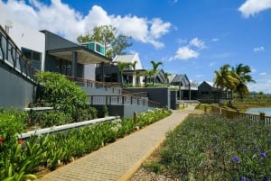 Île Maurice : temples, musée du sucre et excursion à la plage