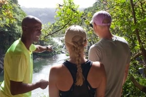 Mauritius: Tamarind Falls, Hike, and Picnic with Local Guide