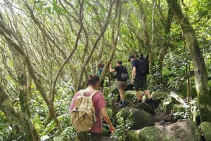 Mauritius: Tamarind Falls, Hike, and Picnic with Local Guide