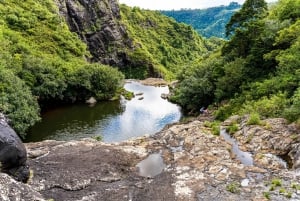 Mauricio: Ruta de senderismo por las cascadas emblemáticas + picnic mauriciano