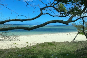 モーリシャス：カップル向けの南部の魂を感じる体験をお楽しみください