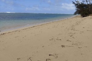 モーリシャス：カップル向けの南部の魂を感じる体験をお楽しみください