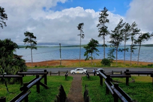 モーリシャス：カップル向けの南部の魂を感じる体験をお楽しみください