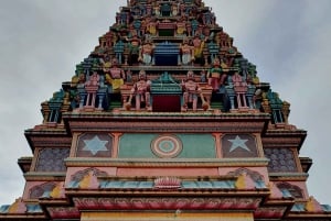 モーリシャス：カップル向けの南部の魂を感じる体験をお楽しみください