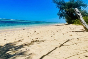 モーリシャス：カップル向けの南部の魂を感じる体験をお楽しみください