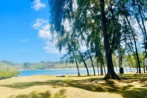 モーリシャス：カップル向けの南部の魂を感じる体験をお楽しみください