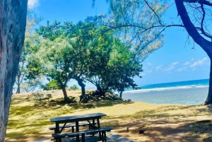 モーリシャス：カップル向けの南部の魂を感じる体験をお楽しみください