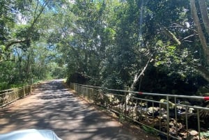 モーリシャス：カップル向けの南部の魂を感じる体験をお楽しみください