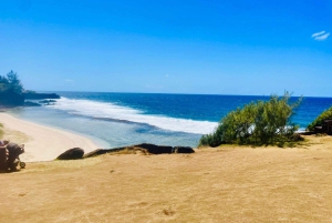 モーリシャス：カップル向けの南部の魂を感じる体験をお楽しみください