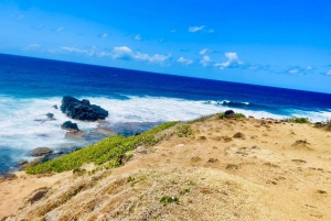 モーリシャス：カップル向けの南部の魂を感じる体験をお楽しみください