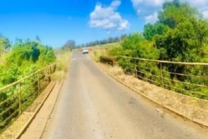 モーリシャス：カップル向けの南部の魂を感じる体験をお楽しみください