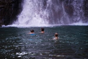 Mauritius: The Wild South Hiking Tour con una guida