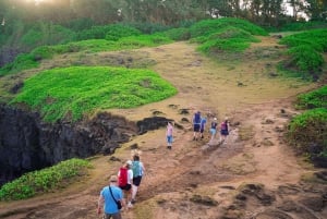 Mauritius: The Wild South Hiking Tour con una guida