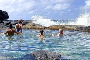 Mauritius: The Wild South Hiking Tour with a Guide