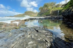 Mauritius: The Wild South Hiking Tour with a Guide