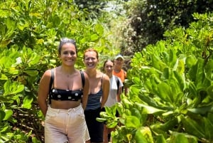 Mauritius: The Wild South Hiking Tour with a Guide