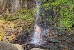 Mauritius: The Wild South Hiking Tour with a Guide