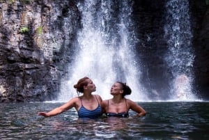 Mauritius: The Wild South Hiking Tour with a Guide