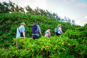 Mauritius: The Wild South Hiking Tour with a Guide