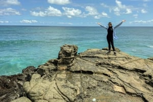 Mauritius: The Wild South Hiking Tour with a Guide