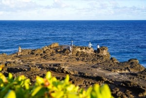Mauritius: The Wild South Hiking Tour with a Guide